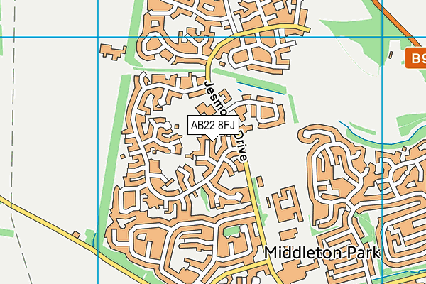 AB22 8FJ map - OS VectorMap District (Ordnance Survey)