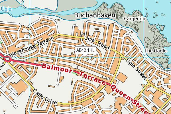 AB42 1HL map - OS VectorMap District (Ordnance Survey)