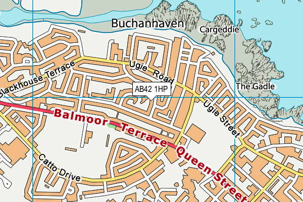 AB42 1HP map - OS VectorMap District (Ordnance Survey)
