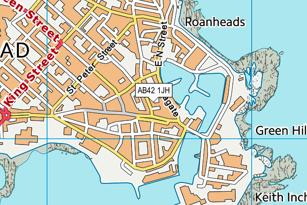 AB42 1JH map - OS VectorMap District (Ordnance Survey)