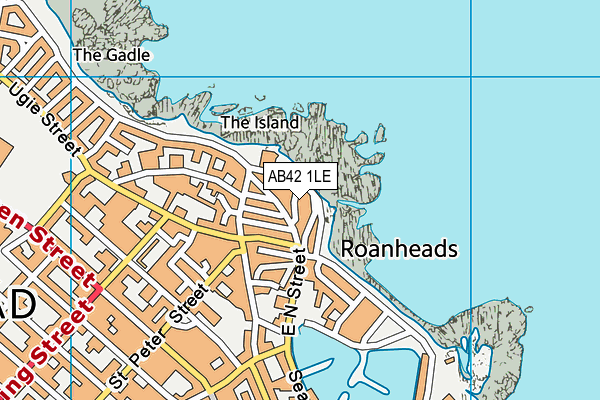 AB42 1LE map - OS VectorMap District (Ordnance Survey)