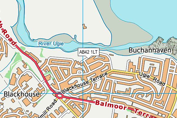 AB42 1LT map - OS VectorMap District (Ordnance Survey)