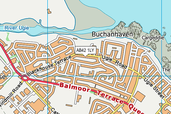 AB42 1LY map - OS VectorMap District (Ordnance Survey)