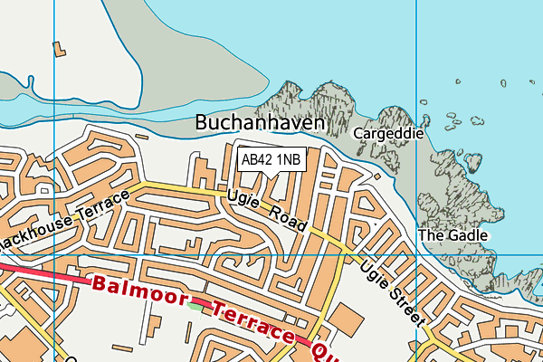 AB42 1NB map - OS VectorMap District (Ordnance Survey)