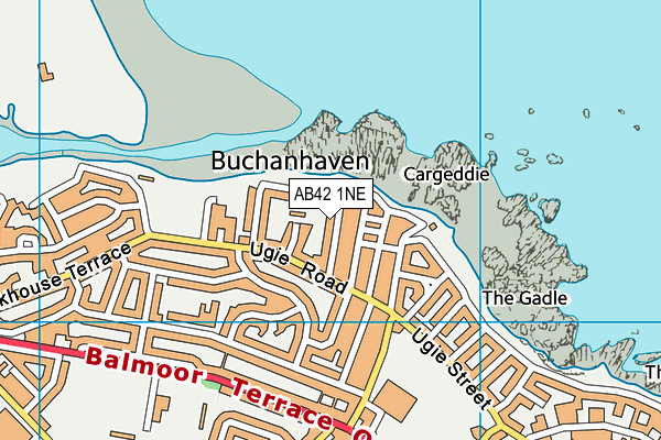 AB42 1NE map - OS VectorMap District (Ordnance Survey)