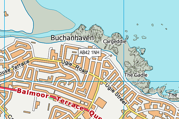 AB42 1NH map - OS VectorMap District (Ordnance Survey)