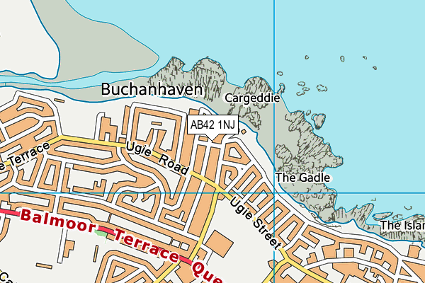 AB42 1NJ map - OS VectorMap District (Ordnance Survey)