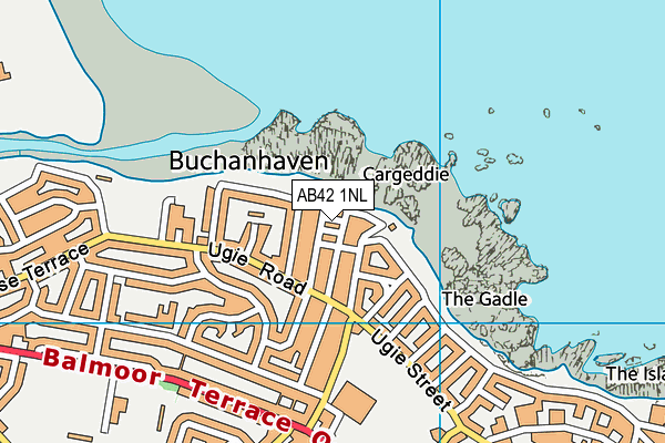 AB42 1NL map - OS VectorMap District (Ordnance Survey)