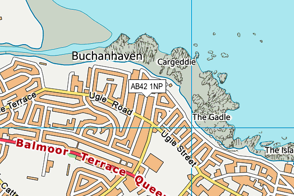 AB42 1NP map - OS VectorMap District (Ordnance Survey)