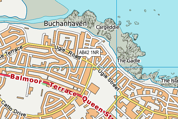 AB42 1NR map - OS VectorMap District (Ordnance Survey)