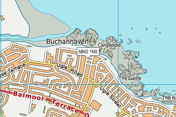 AB42 1NS map - OS VectorMap District (Ordnance Survey)