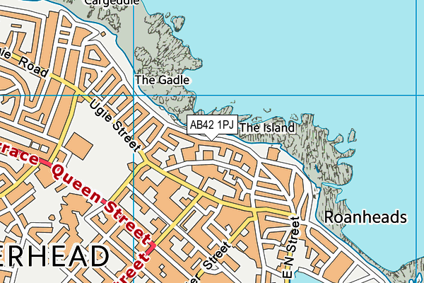 AB42 1PJ map - OS VectorMap District (Ordnance Survey)