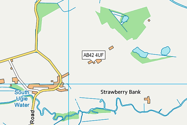 AB42 4UF map - OS VectorMap District (Ordnance Survey)