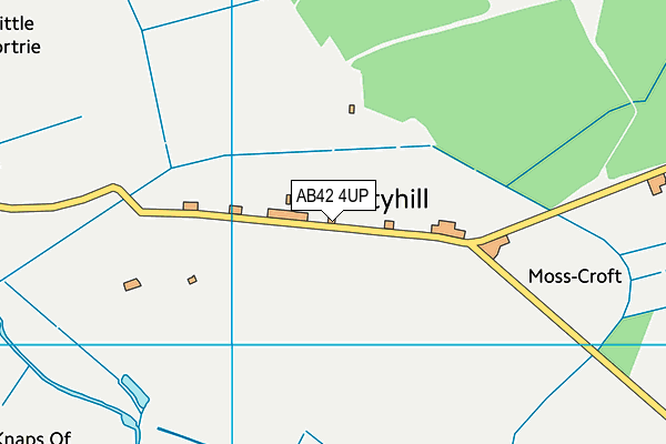 AB42 4UP map - OS VectorMap District (Ordnance Survey)