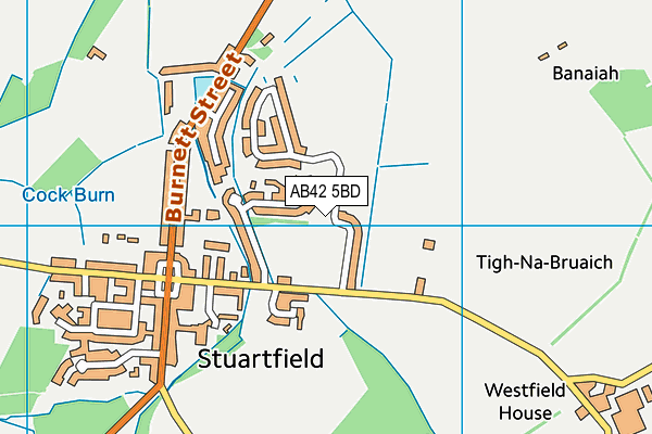 AB42 5BD map - OS VectorMap District (Ordnance Survey)