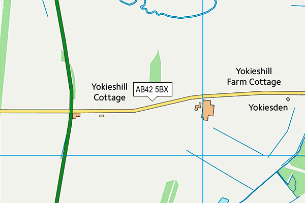 AB42 5BX map - OS VectorMap District (Ordnance Survey)