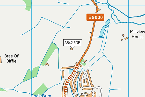 AB42 5DE map - OS VectorMap District (Ordnance Survey)