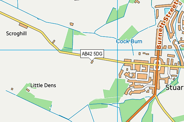 AB42 5DG map - OS VectorMap District (Ordnance Survey)