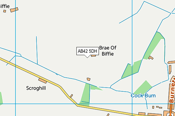 AB42 5DH map - OS VectorMap District (Ordnance Survey)