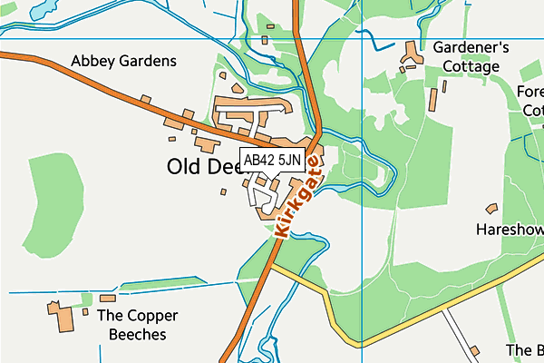 AB42 5JN map - OS VectorMap District (Ordnance Survey)