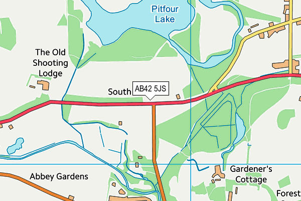 AB42 5JS map - OS VectorMap District (Ordnance Survey)