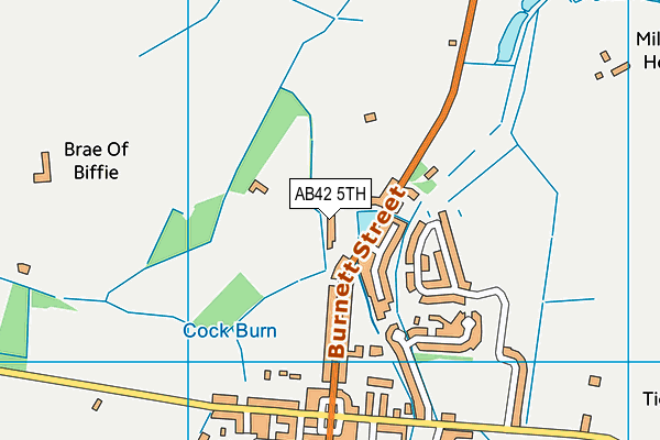 AB42 5TH map - OS VectorMap District (Ordnance Survey)
