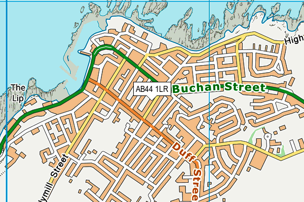 AB44 1LR map - OS VectorMap District (Ordnance Survey)