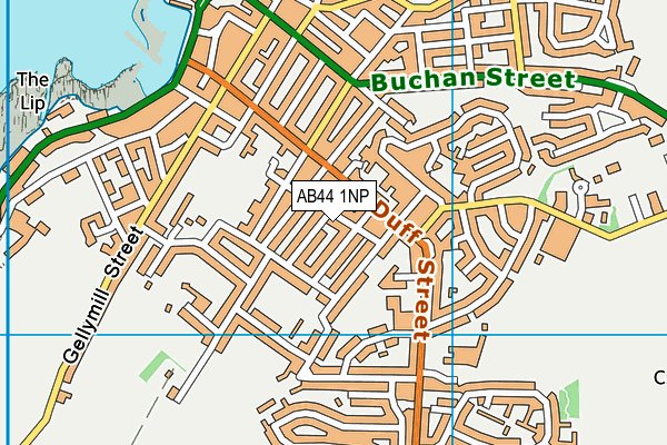 AB44 1NP map - OS VectorMap District (Ordnance Survey)