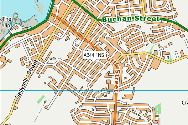 AB44 1NS map - OS VectorMap District (Ordnance Survey)