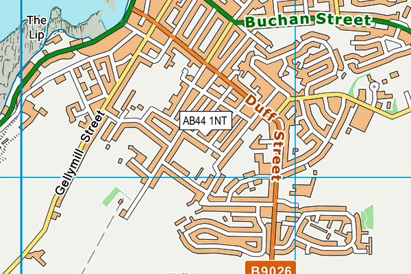 AB44 1NT map - OS VectorMap District (Ordnance Survey)