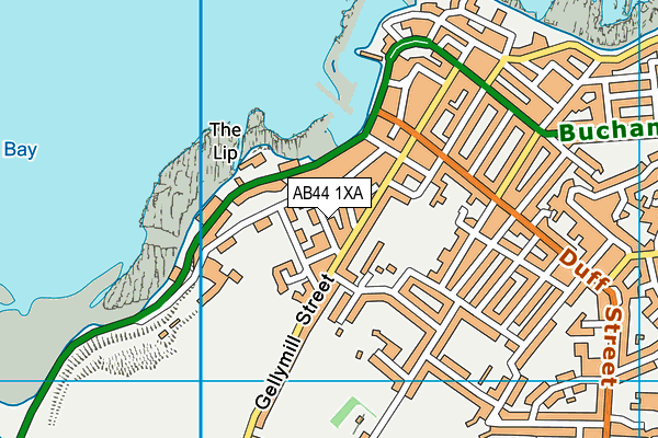 AB44 1XA map - OS VectorMap District (Ordnance Survey)