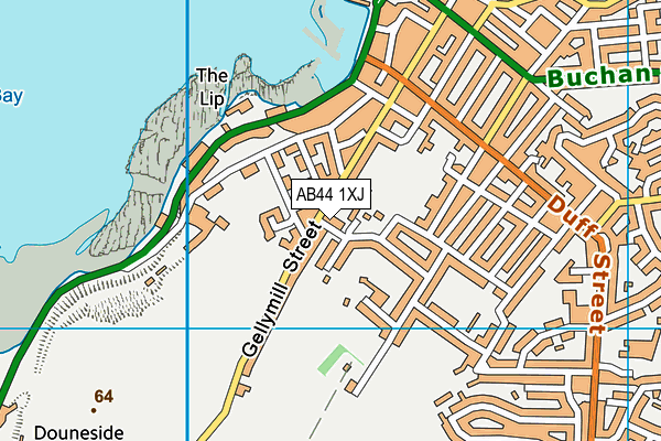 AB44 1XJ map - OS VectorMap District (Ordnance Survey)