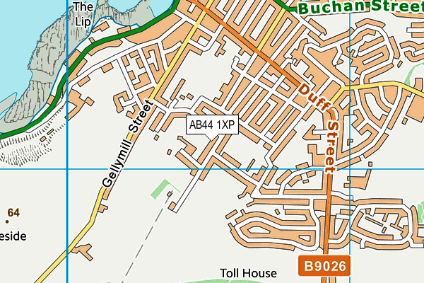 AB44 1XP map - OS VectorMap District (Ordnance Survey)