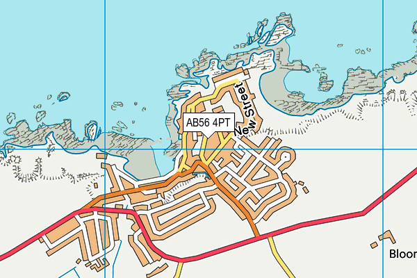 AB56 4PT map - OS VectorMap District (Ordnance Survey)