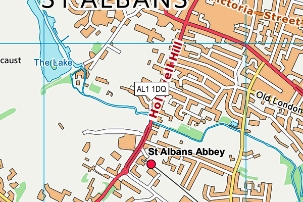The Abbey Church of England Voluntary Aided Primary School, St Albans map (AL1 1DQ) - OS VectorMap District (Ordnance Survey)
