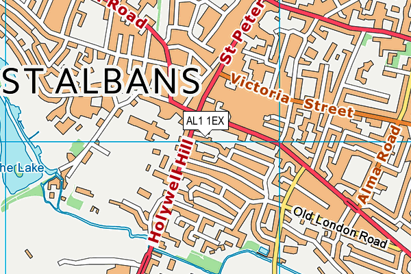 AL1 1EX map - OS VectorMap District (Ordnance Survey)