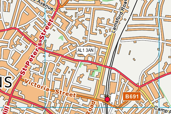 AL1 3AN map - OS VectorMap District (Ordnance Survey)