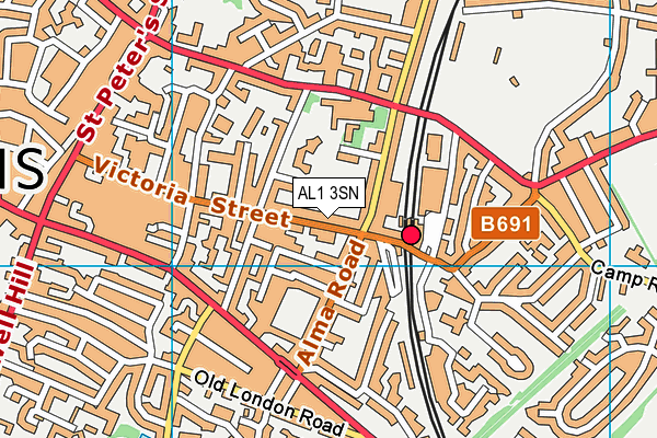 AL1 3SN map - OS VectorMap District (Ordnance Survey)