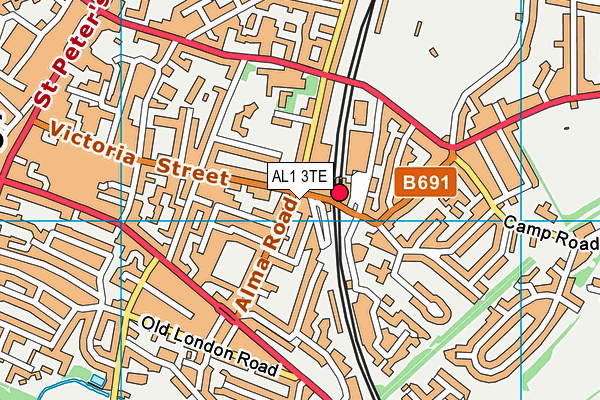 AL1 3TE map - OS VectorMap District (Ordnance Survey)