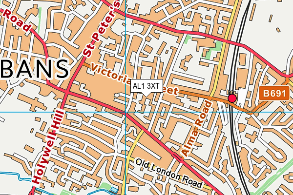 AL1 3XT map - OS VectorMap District (Ordnance Survey)