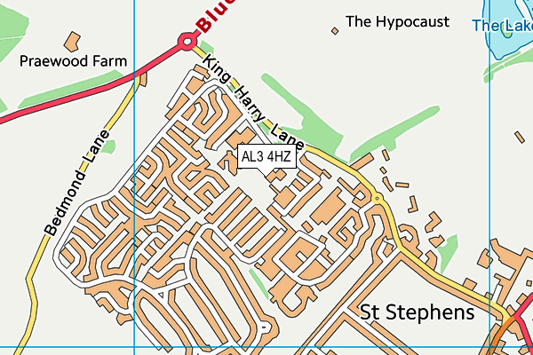 Prae Wood Primary School map (AL3 4HZ) - OS VectorMap District (Ordnance Survey)