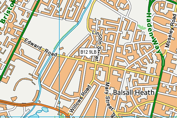 New Perspectives School map (B12 9LB) - OS VectorMap District (Ordnance Survey)