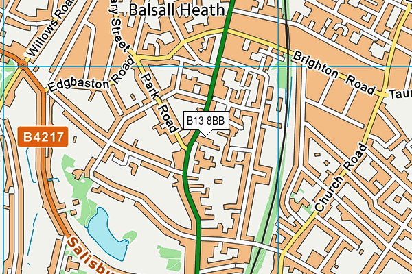 Park Hill Primary School map (B13 8BB) - OS VectorMap District (Ordnance Survey)
