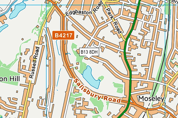 B13 8DH map - OS VectorMap District (Ordnance Survey)