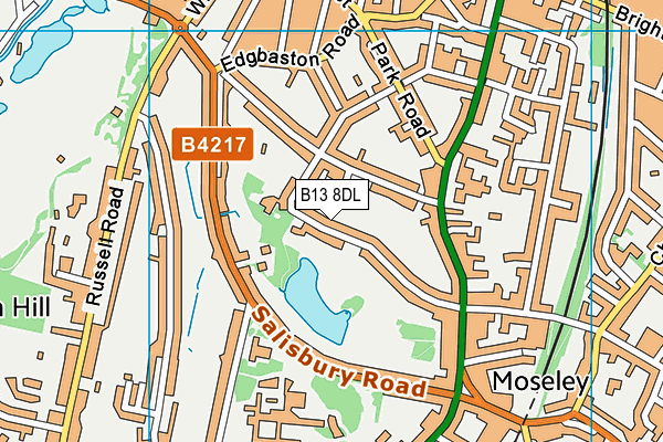 B13 8DL map - OS VectorMap District (Ordnance Survey)