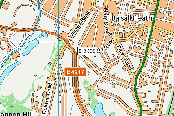 B13 8DS map - OS VectorMap District (Ordnance Survey)