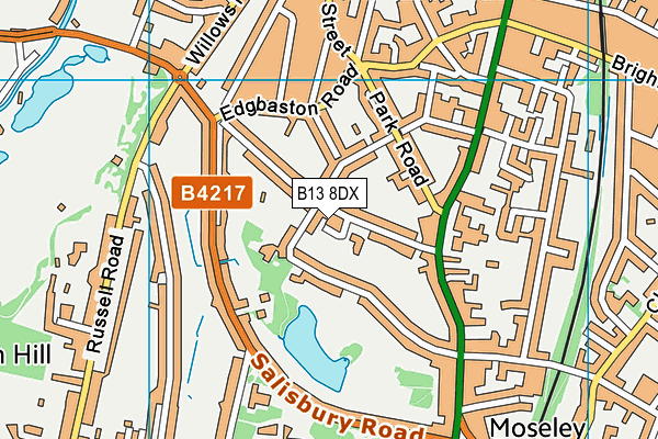 B13 8DX map - OS VectorMap District (Ordnance Survey)