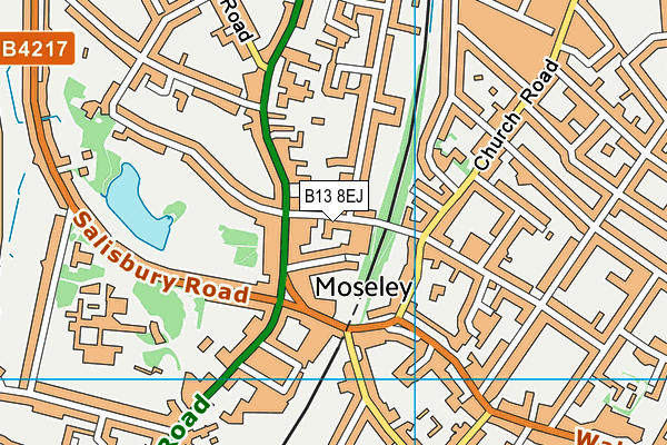 B13 8EJ map - OS VectorMap District (Ordnance Survey)