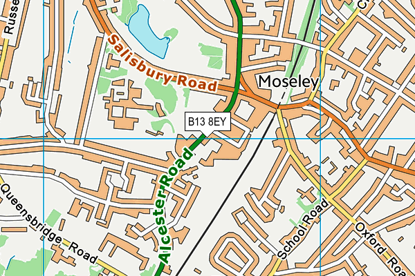 King David Primary School map (B13 8EY) - OS VectorMap District (Ordnance Survey)
