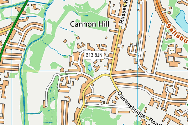 B13 8JN map - OS VectorMap District (Ordnance Survey)